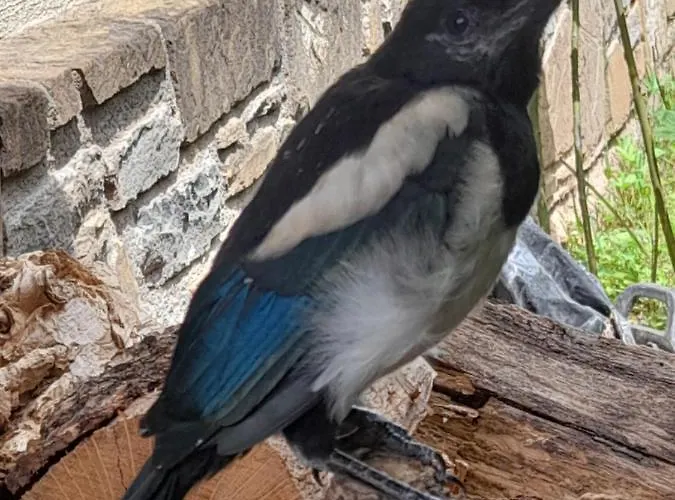 Casa Juan 3* Castejón de Sos