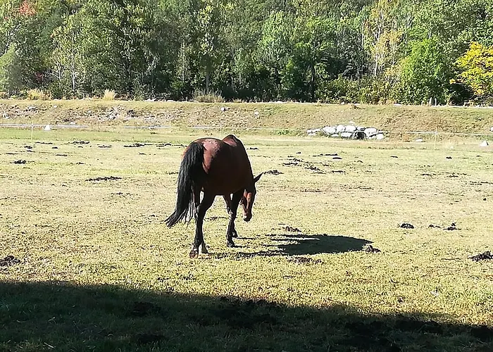 Casa Juan Πανσιόν Castejón de Sos
