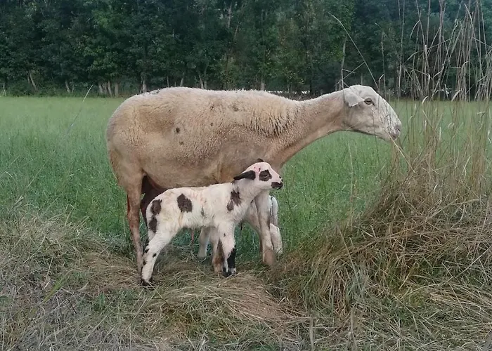 Casa Juan Pensionat 3*