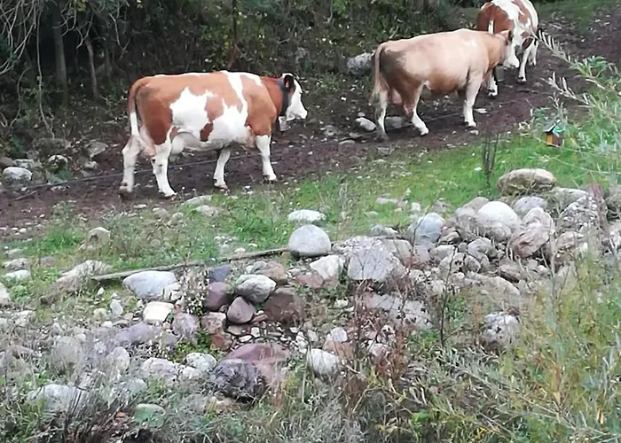 Casa Juan Castejón de Sos