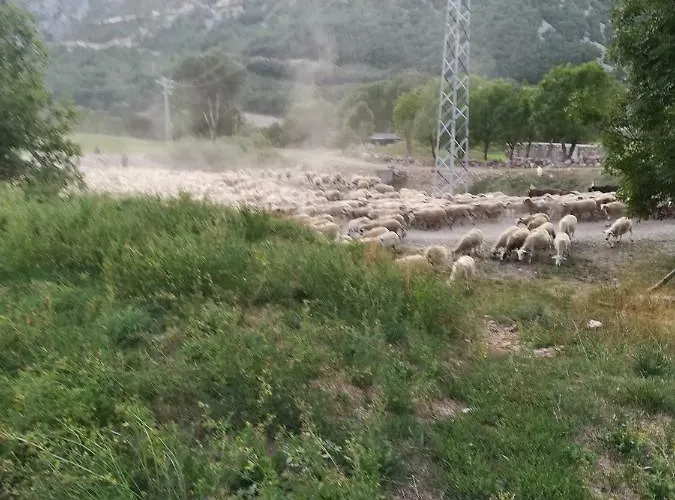 Casa Juan 3* Castejón de Sos